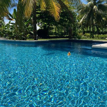 Sand Dollar Beach Bed & Breakfast Bocas del Toro Zewnętrze zdjęcie
