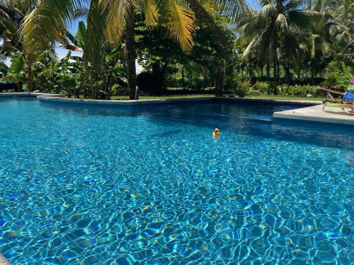 Sand Dollar Beach Bed & Breakfast Bocas del Toro Zewnętrze zdjęcie