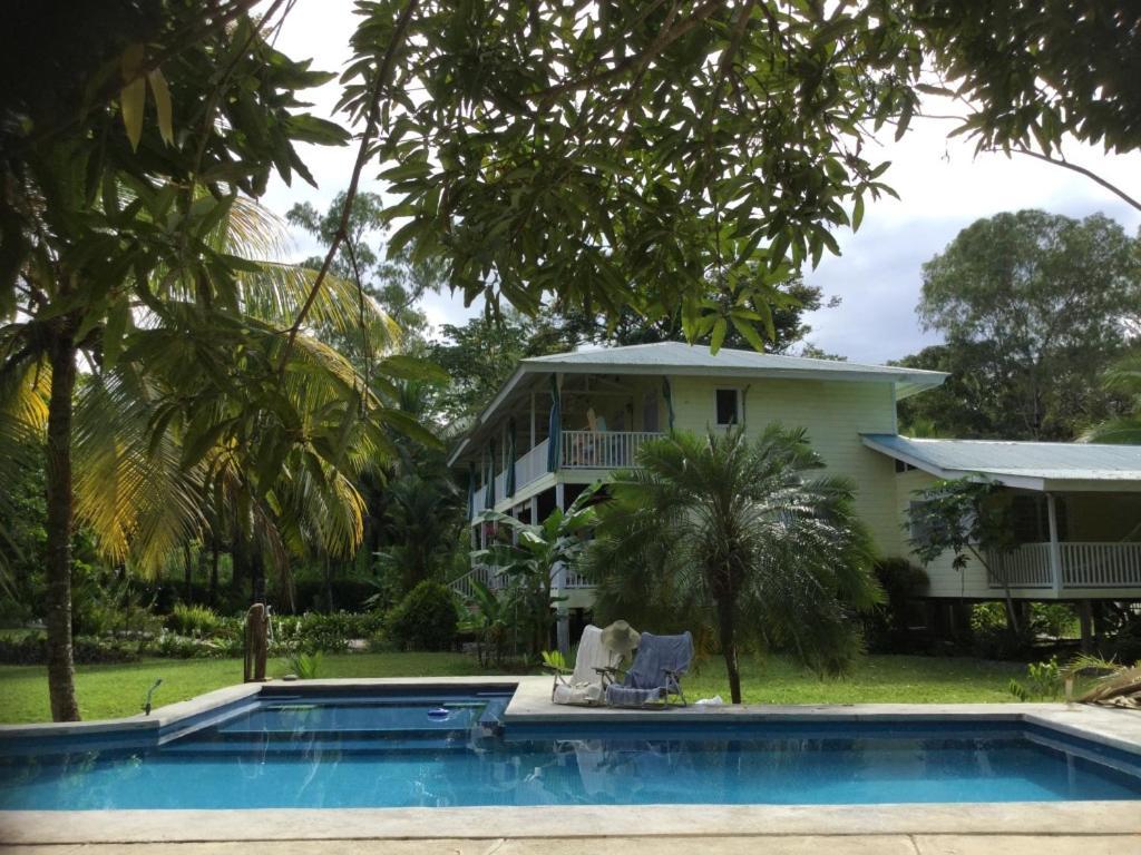Sand Dollar Beach Bed & Breakfast Bocas del Toro Zewnętrze zdjęcie