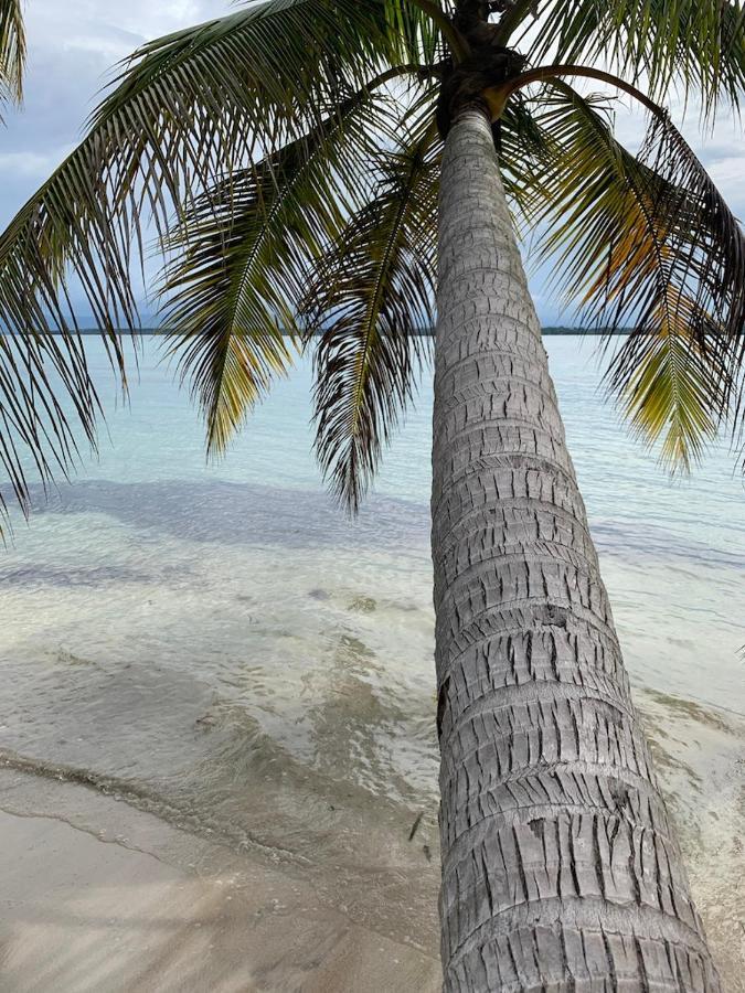 Sand Dollar Beach Bed & Breakfast Bocas del Toro Zewnętrze zdjęcie