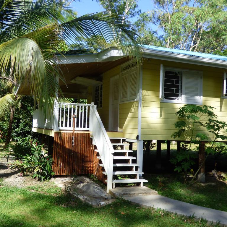 Sand Dollar Beach Bed & Breakfast Bocas del Toro Pokój zdjęcie