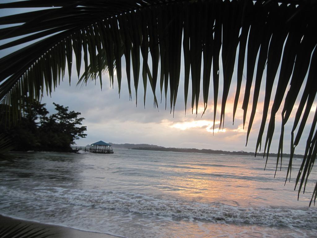 Sand Dollar Beach Bed & Breakfast Bocas del Toro Zewnętrze zdjęcie