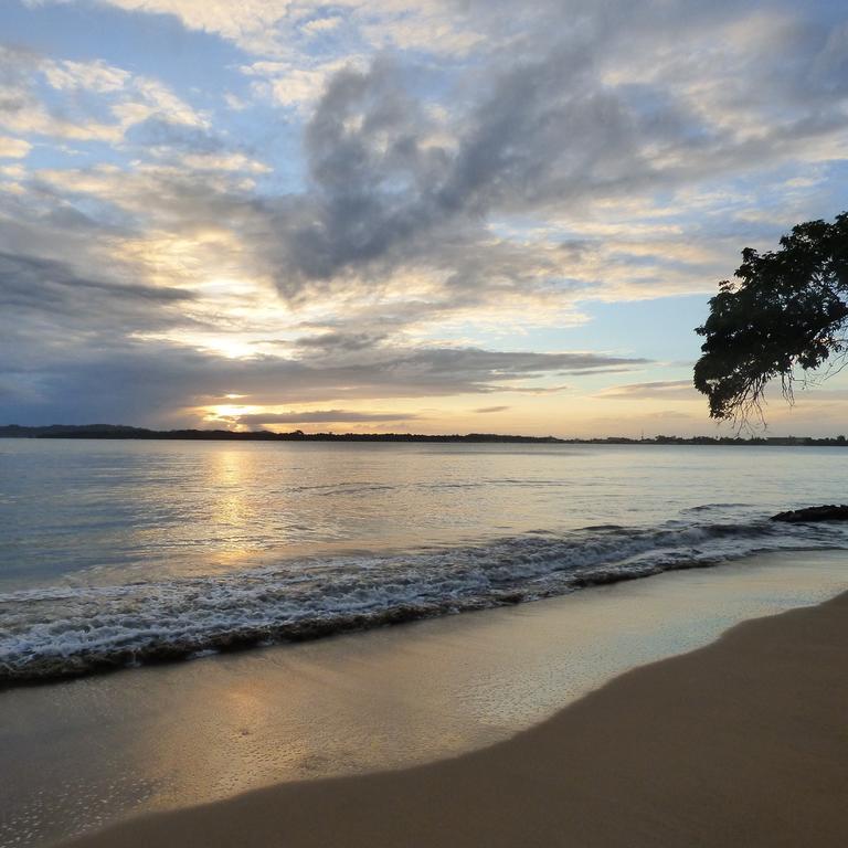 Sand Dollar Beach Bed & Breakfast Bocas del Toro Zewnętrze zdjęcie