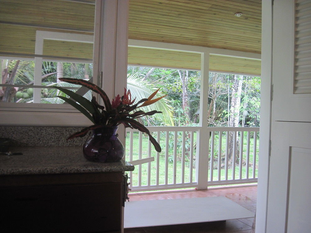 Sand Dollar Beach Bed & Breakfast Bocas del Toro Zewnętrze zdjęcie