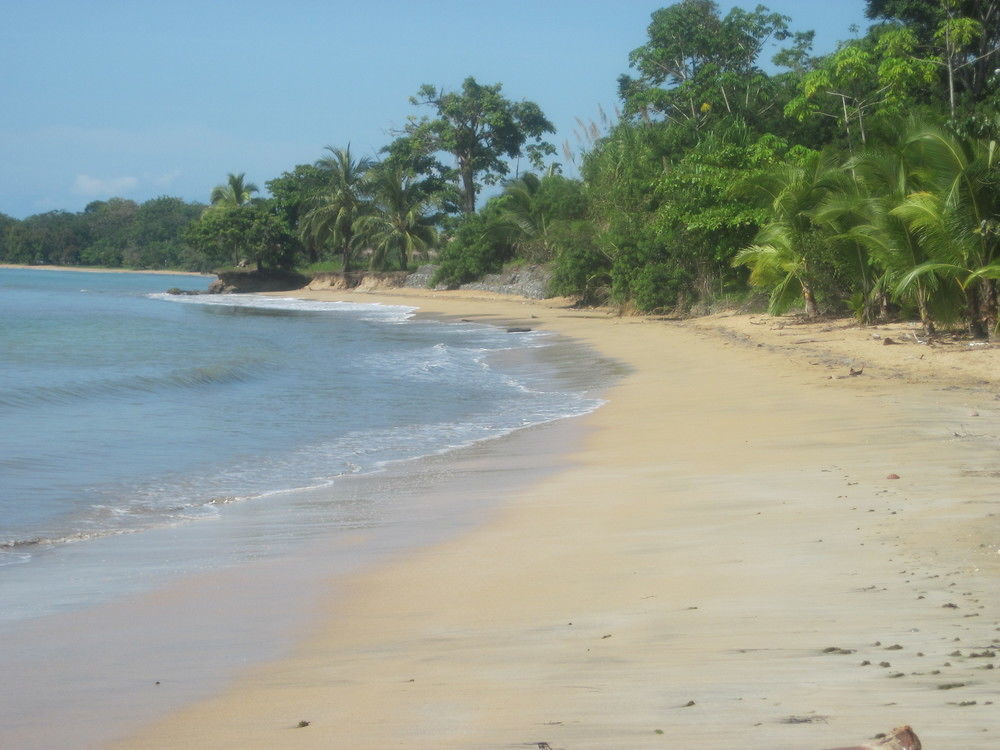 Sand Dollar Beach Bed & Breakfast Bocas del Toro Zewnętrze zdjęcie