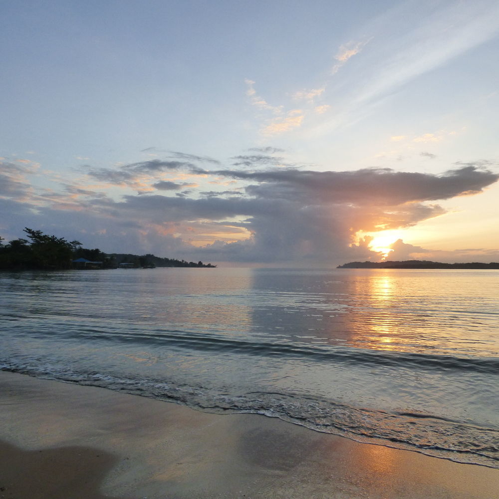 Sand Dollar Beach Bed & Breakfast Bocas del Toro Zewnętrze zdjęcie