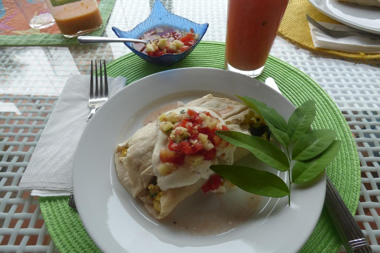 Sand Dollar Beach Bed & Breakfast Bocas del Toro Zewnętrze zdjęcie